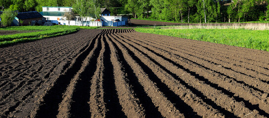 View of the plowed land. Furrows from a plow. Agriculture Preparation for planting. The concept of...