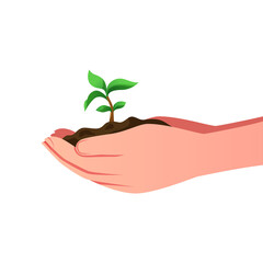 Illustration of human hand holding small green tree vector