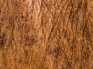 Old vintage genuine soft brown leather texture background, top layer with pores and scratches,...