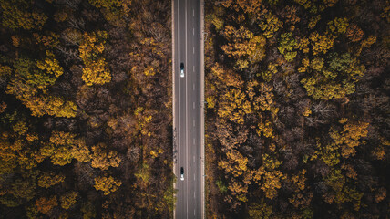 Bird's eye view of the road in the forest