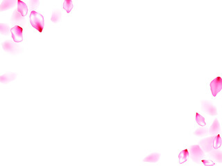 Fototapeta premium Pink sakura flower flying petals isolated on white vector background.