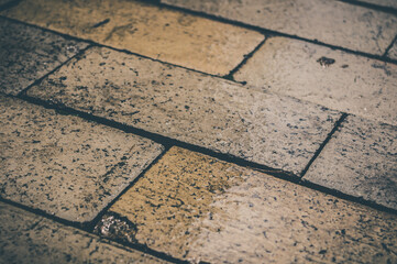 Wet paving slabs shine after rain, closeup