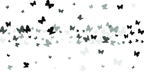Fairy black butterflies flying vector illustration. Spring pretty moths. Decorative butterflies flying children wallpaper. Tender wings insects graphic design. Fragile creatures.