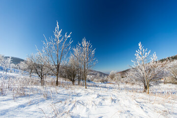 Winter landscape in dolnoslaskie region, Poland