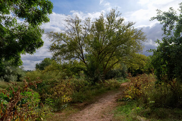 Path along the Marne River in Seine et Marne country. Précy-sur-Marne village