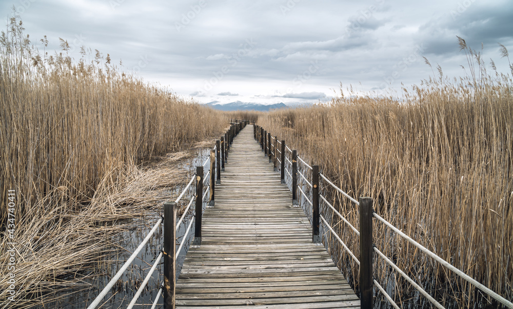 Wall mural A view of wooden bridge leading through marshes and lakes inside the Central Anatolian Sultan Reedy (Sultansazligi) National Park, Turkey