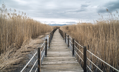 Obraz premium A view of wooden bridge leading through marshes and lakes inside the Central Anatolian Sultan Reedy (Sultansazligi) National Park, Turkey