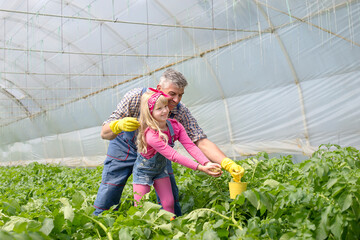 Father works in a greenhouse and shows his daughter a family business