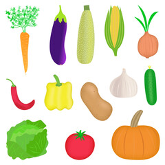set of various vegetables. collection of carrots, eggplant, zucchini, corn, onions, yellow and red peppers, potatoes, garlic, cucumber, cabbage, tomato and pumpkin. isolated on white background