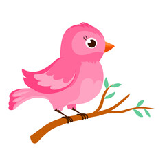 Cartoon bird vector stock image