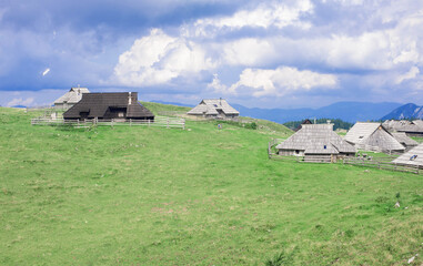 Fototapeta na wymiar authentic slovenian wooden huts in a green alpine valley for seasonal horned cattle grazing