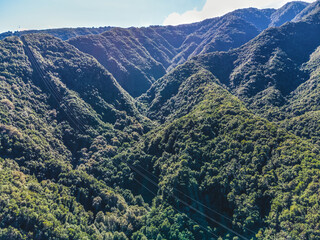 Drone view of forest and plant vegetation on La Palma island.