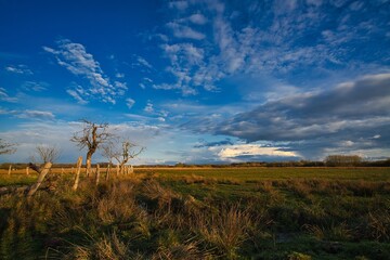 Münster NRW Rieselfelder Natur