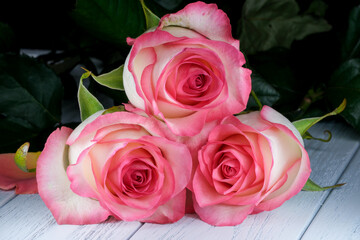 Floral holiday card with beautiful roses