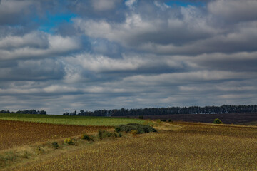 Fototapeta premium Cloudy sky over the field