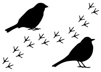 Bird footprint and bird in the set. Vector image.