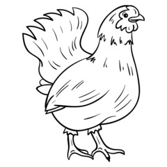 a white monochrome hen. comic, isolated, vector.