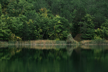 Fototapeta na wymiar Calm water on the background of the autumn green forest