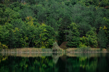 Calm water on the background of the autumn green forest