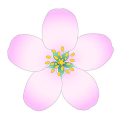 ピンク色のリンゴの花1輪