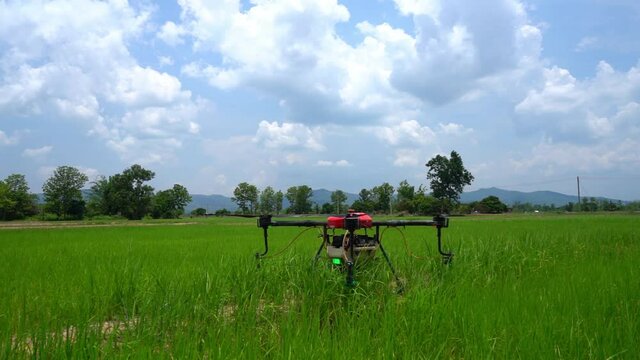 Thai farmers use drones to spray chemicals Above the rice fields