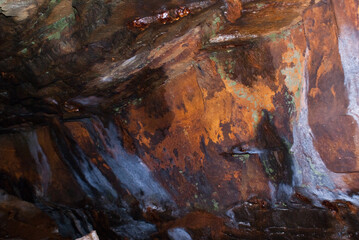 Painters pallet background pattern