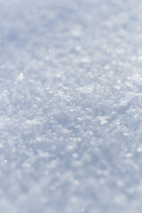 Obraz premium texture of cold winter snow