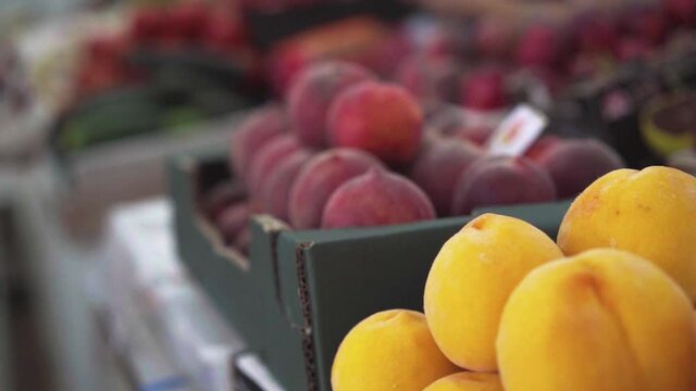 a row of peaches, lemons and pears - push out shot in slow motion