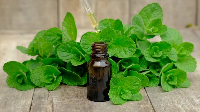 Essential oil and mint extract in a small bottle. Selective focus.