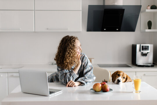 Blond Woman Talking On A Cell Phone In The Kitchen. Nearby, A Beagle Dog Looks At Apples. Work From Home. High Quality Photo