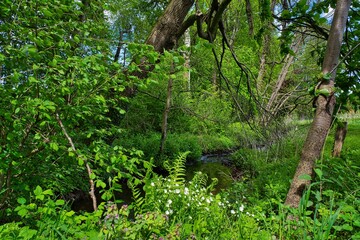 Natur Outdoor
Color
daylight
