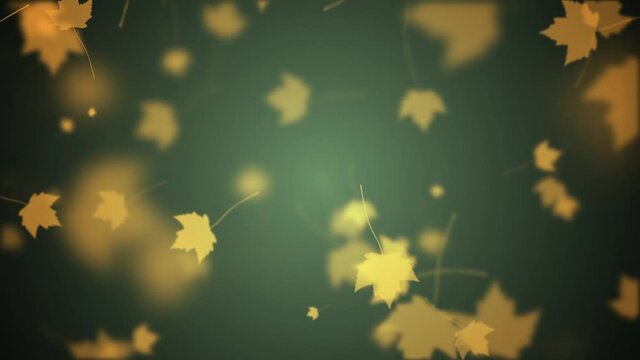 Falling maple leaf in autumn
