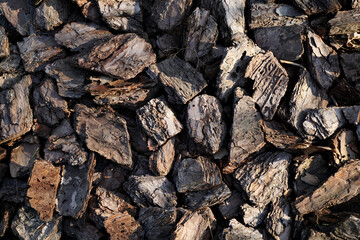 The decorative bark for mulching
