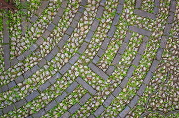 Texture of pebble stone pavement with patterns