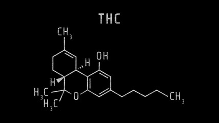 THC or Tetrahydrocannabinol Molecular Structure Symbol Sketch or Drawing on Black Background