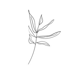 Hand drawn floral element.  Different kind of leave. Floral sketch collection. Decorative element for design. Vintage botanical vector illustrations.