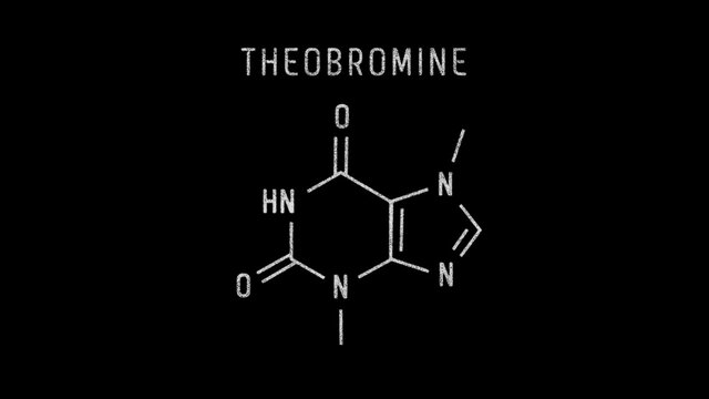 structure of theobromine