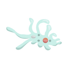 Schematic representation of an amoeba, the simplest unicellular animal