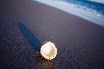 Coconut on a wild black sand beach