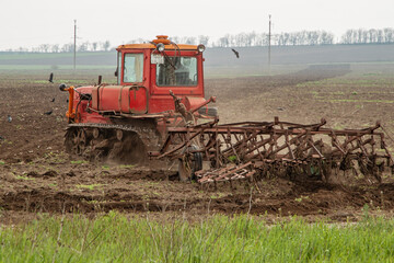 Obraz premium An old red crawler tractor plows a field. Green grass in the foreground