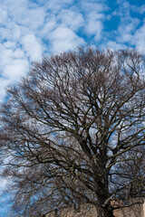 old buildings and canal houses in Leiden