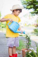 Vertical Portrait image of 7-8 years old kid boy. Happy Asian child  watering the green tree and flowers by water can at the backyard.