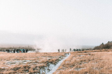 Geyser in Iceland