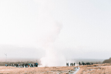 Geyser in Iceland