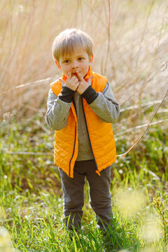 portrait of a fashionable little boy in nature
