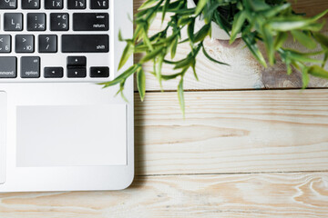 Business cards blank. Mockup on color background.