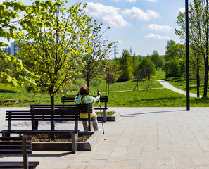 person sitting on a bench in the park