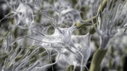 Neurons. 3D illustration of a group of neurons with the cell body highlighted