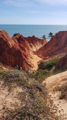 red rock canyon