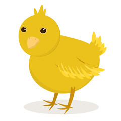 vector illustration of a yellow chicken isolated on a white background